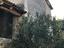 Immagine 10