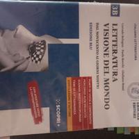 Libro Letteratura visione del mondo 3b