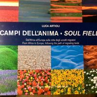 I campi dell'anima di Luca Artioli