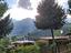 Immagine 14