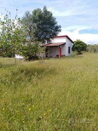 Villetta unifamiliare