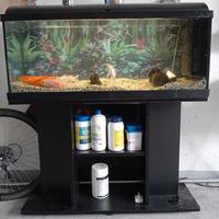Acquario 120l
