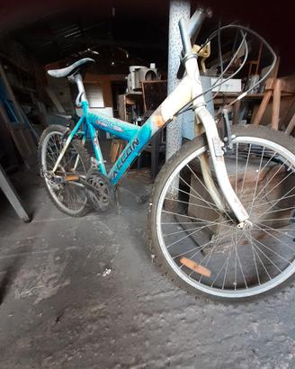 bicicletta ragazzo