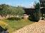 Immagine 25