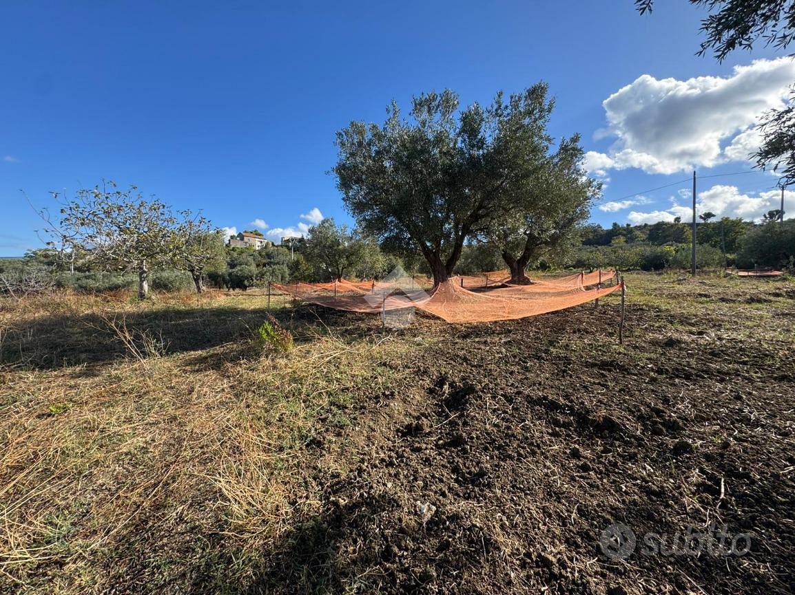 TER. AGRICOLO A AMANTEA - Vista 3