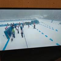 TV 32 pollici Normende