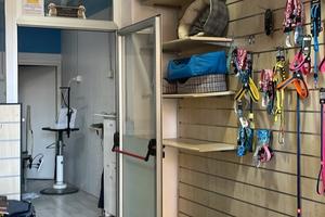 Attività di toelettatura