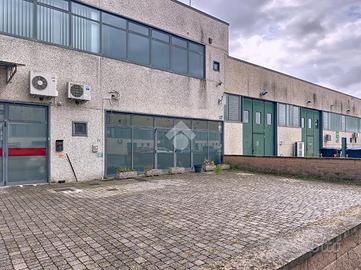 NEGOZIO A VICOPISANO