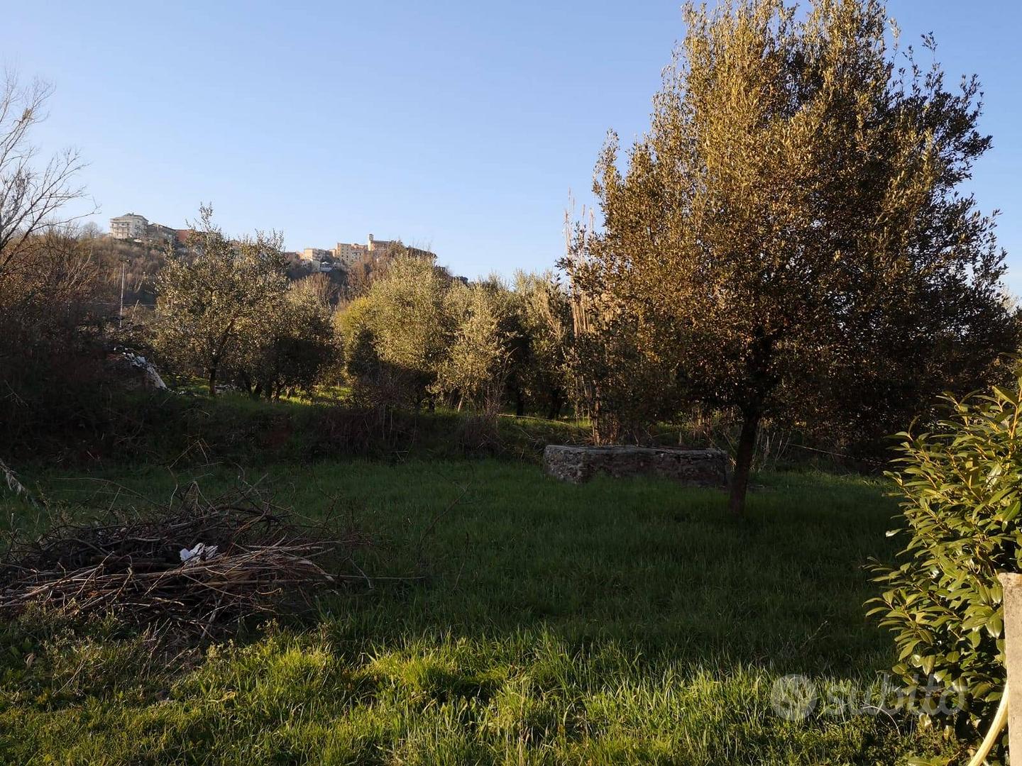TERRENO CON FABBRICATI - Gavignano - View 4