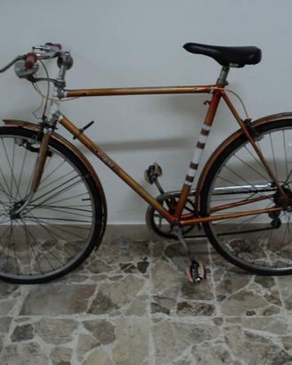 Bici Regina