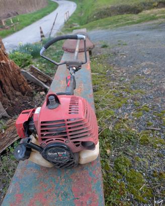 decespugliatore  35 cc 