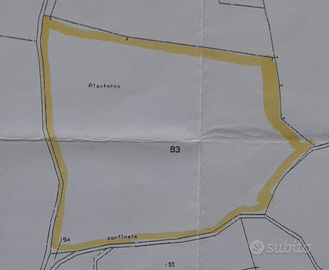 1,5 ettero di terreno in campagna