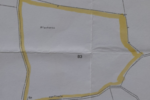 1,5 ettero di terreno in campagna
