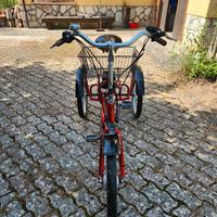 triciclo elettrico (batteria da controllare)