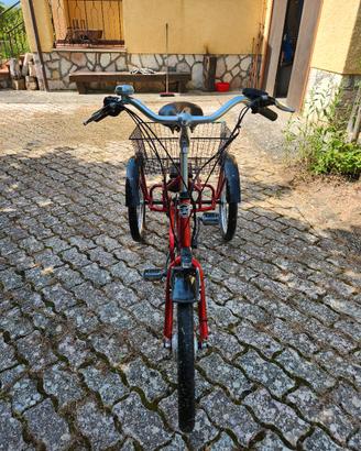 triciclo elettrico (batteria da controllare)
