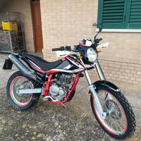 Beta Alp 4.0 2018