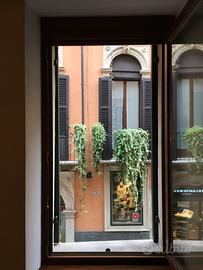 Monolocale corso santa anastasia verona