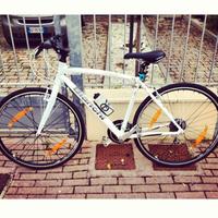 Bici Bianchi Camaleonte
