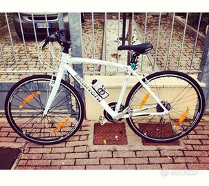 Bici Bianchi Camaleonte