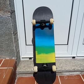 Skateboard