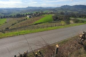 terreno agricolo a vigneto e terreno nudo
