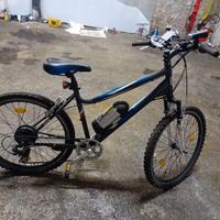 Bici elettrica