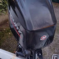 Mercury pro 40/70