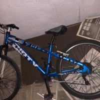Mountain bike