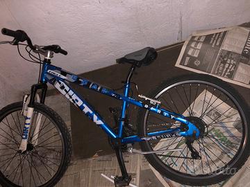 Mountain bike