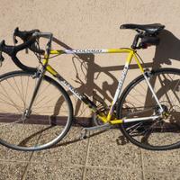Bici da corsa Colnago