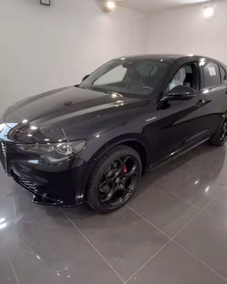 ALFA ROMEO - Stelvio - 2.2 T.diesel 210 CV AT8 Q4