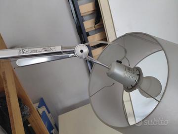 tolomeo da soffitto