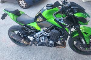 Kawasaki z900 Performance 