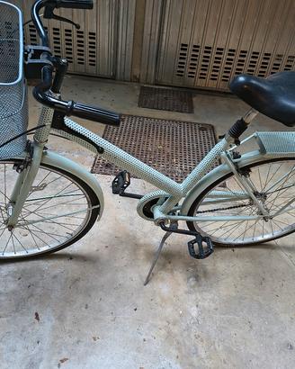 bicicletta 