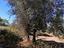 Immagine 13