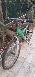 Mtb 26