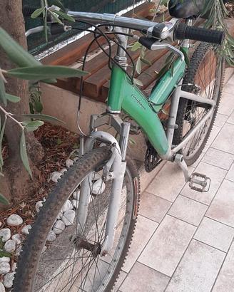 Mtb 26