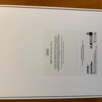 Ipad 10 generazione 256gb wifi