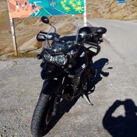 TriumpTiger800xrx da vetrina