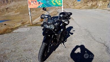 TriumpTiger800xrx da vetrina
