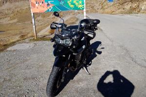 TriumpTiger800xrx da vetrina