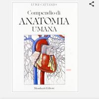 Compedio di Anatomia Umana