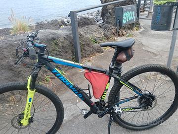 Bici torpado 29