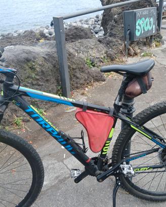 Bici torpado 29