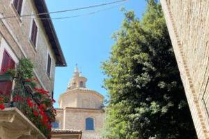 Ampio appartamento in zona centrale, N/364