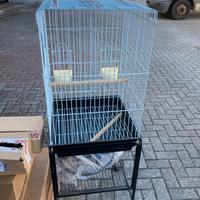 Gabia per pappagalli