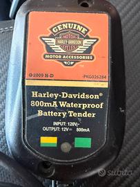 Manutentore Harley Davidso
