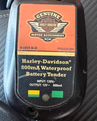 Manutentore Harley Davidso