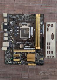 Scheda madre Asus H81M-A_DP Socket 1150 ddr3 