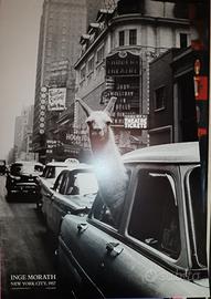 Stampa Inge Morath by Magnum Photos